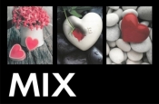 Fotoalbum kieszeniowy zgrzewany Heart MIX
