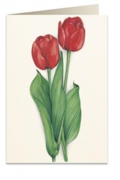 Karnet B6 + koperta 7517 Czerwone tulipany