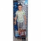 Barbie Ken Fashionistas (FJF74)