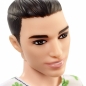 Barbie Ken Fashionistas (FJF74)