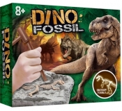 Wykopaliska paleontolog dinozaur