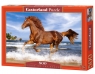 Puzzle 500 Horse on the Beach (51175)