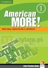 Am More! 1 Extra Practice Book