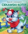 Ciekawski kotek