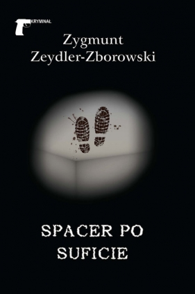 Spacer po suficie - Zeydler-Zborowski Zygmunt