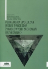 Pedagogika społeczna wobec procesów żywiołowych i zachowań ryzykownych