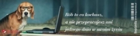 Zakładka do książki - Rób to co kochasz
