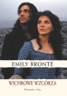 Wichrowe Wzgórza  Brontë Emily