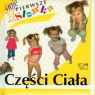 Części ciała Moje pierwsze słówka