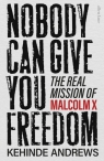 Nobody Can Give You Freedom wer. angielska Kehinde Andrews