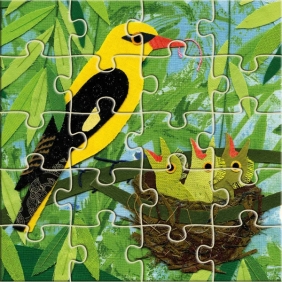 Ptaki. Puzzle 3 w 1 - Kozyra-Pawlak Ewa