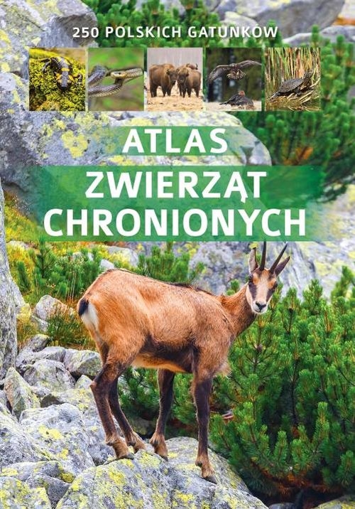 Atlas zwierząt chronionych Twardowska Kamila, Twardowski Jacek