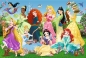 Trefl, Puzzle 100: Disney Princess - Czarujące Księżniczki (16417)