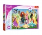 Trefl, Puzzle 100: Disney Princess - Czarujące Księżniczki (16417)