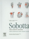 Atlas anatomii człowieka Sobotta Tablice anatomiczne mięśni, stawów i