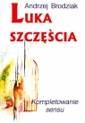 Luka szczęścia  Kompletowanie sensu  Brodziak Andrzej