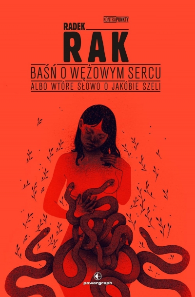 <img src='https://webimage.pl/pics/176/9/d978-83-68599-17-6.jpg'>