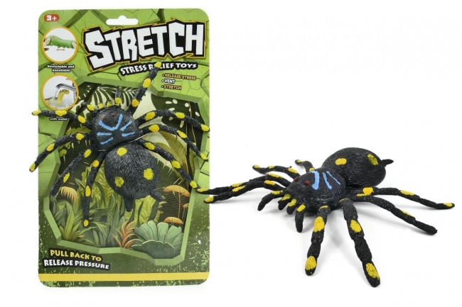 <img src='https://webimage.pl/pics/177/1/d5901811181177.jpg' style='height:440px' /> Pająk rozciągliwy