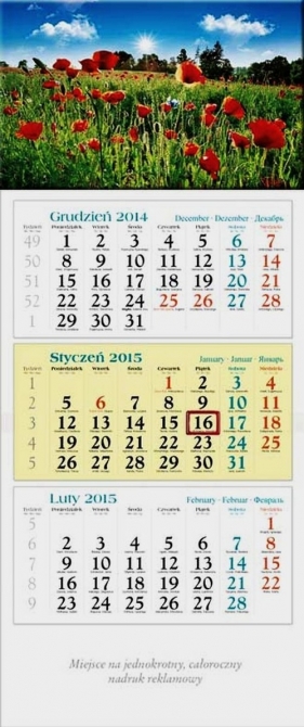 Kalendarz 2015 KT Łąka