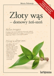 Złoty wąs - domowy żeń-szeń - Polewaja Maria