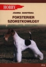 Foksterier szorstkowłosy Zarzyńska Joanna