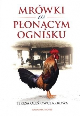 Mrówki w płonącym ognisku - Oleś-Owczarkowa Teresa