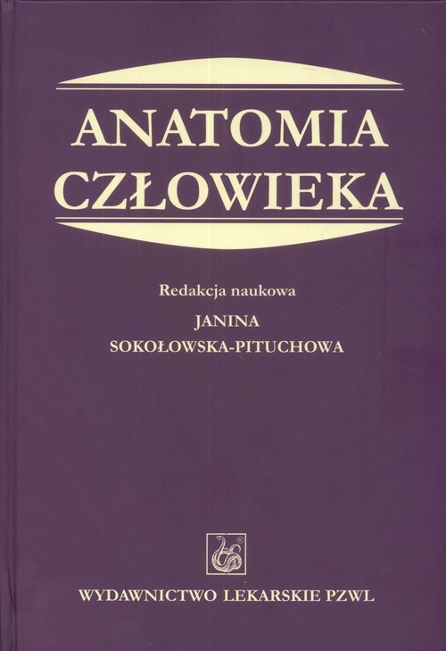 Anatomia człowieka