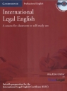 International legal english