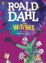 The Witches Colour Edition Roald Dahl