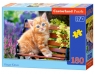 Puzzle 180: Ginger Kitten (018178)