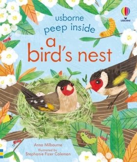 Peep Inside a Bird's Nest - Milbourne Anna