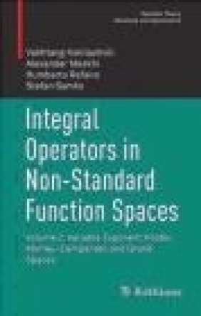 Integral Operators in Non-Standard Function Spaces 2016: Variable Exponent Vakhtang Kokilashvili, Stefan Samko, Alexander Meskhi