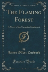 The Flaming Forest