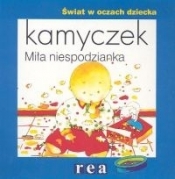 Kamyczek. Miła niespodzianka