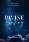 Divine Destiny Joanna Boczar