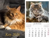 Kalendarz 2026 ścienny Koty