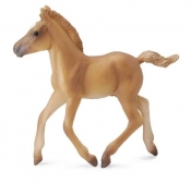 Źrębie haflinger spacerujące