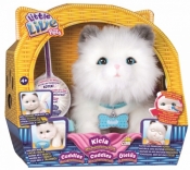 Little Live Pets: Kicia - Mój wymarzony kotek (28330)