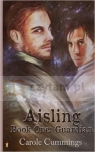 The Aisling Book One: Guardian