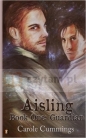 The Aisling Book One: Guardian - Carole Cummings