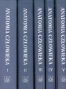 Anatomia człowieka Tom 1-5  Bochenek Adam, Reicher Michał