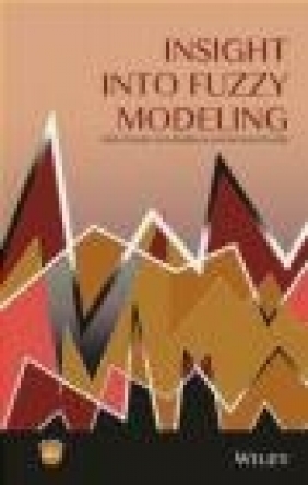 Insight into Fuzzy Modeling