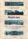 Niezwykłe mosty. Historia ruchomych mostów... Jakub Olszewski