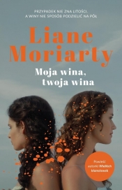 Moja wina, twoja wina - Liane Moriarty