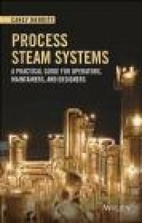 Process Steam Systems Carey Merritt