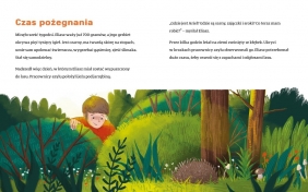 Akademia mądrego dziecka. Porwanie jeża Eliasza - Ewa Nowak