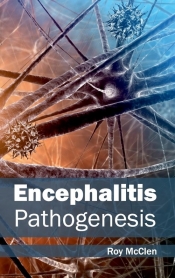 Encephalitis
