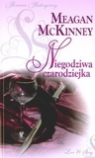 Niegodziwa czarodziejka Meagan McKinney