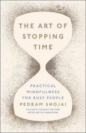 The Art of Stopping Time - Shojai Pedram