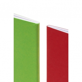 Zeszyt Herlitz Rainbow A4/96k kratka z marginesem, 1 szt